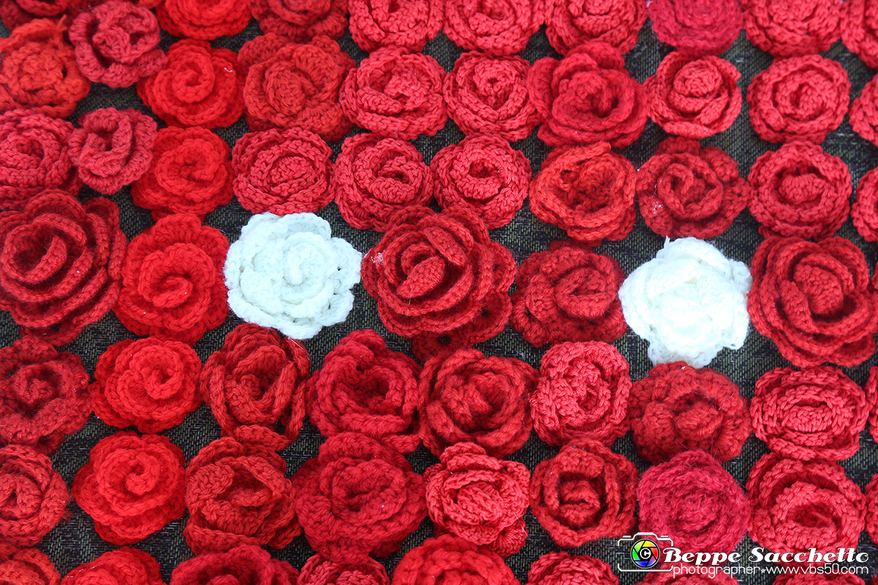 VBS_9685 - Infiorata di Villanova d'Asti 2023.jpg